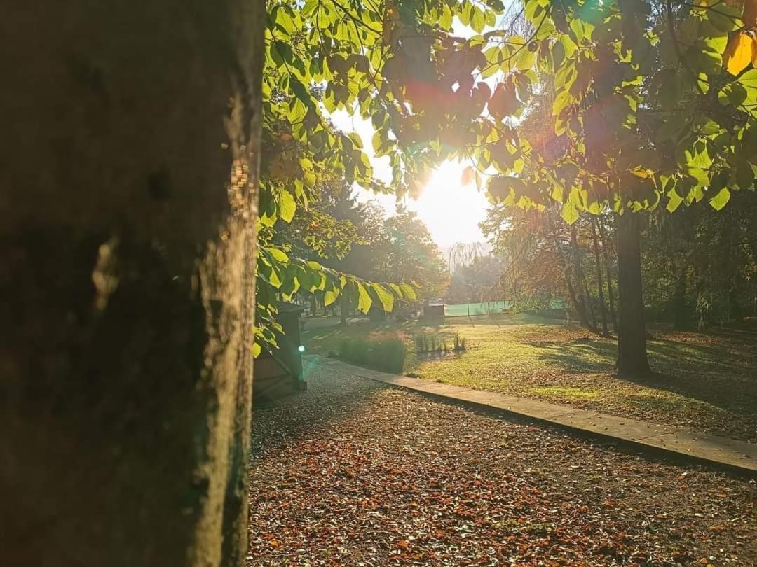 Déjá Vu Szállás&rendezvény Camping Zirc