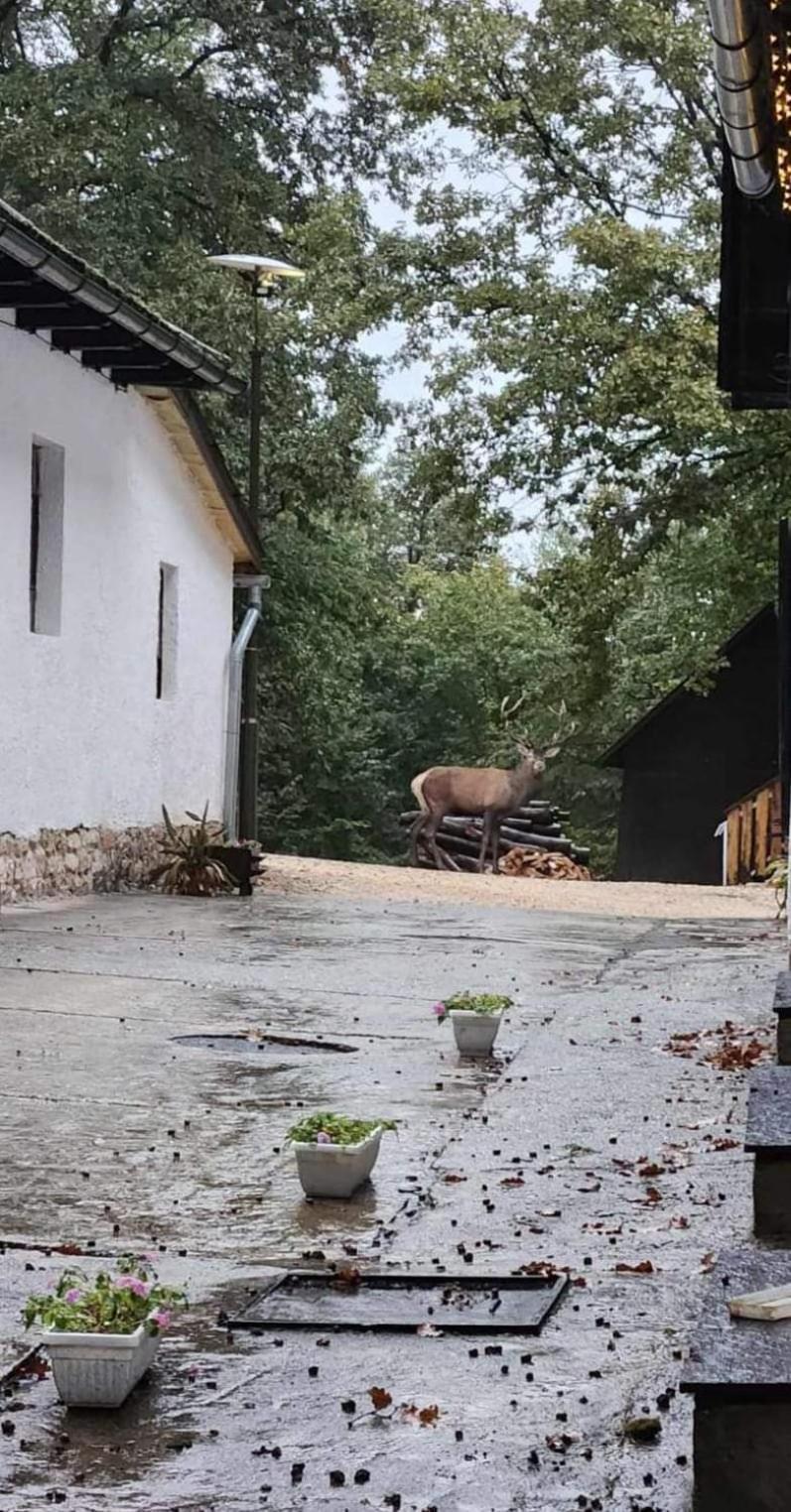 Déjá Vu Szállás&rendezvény Camping *